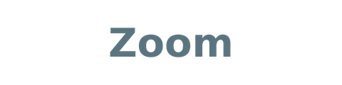 Zoom logo