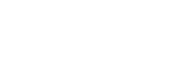 angular js developer india