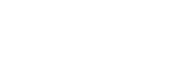 phalcon web application development company